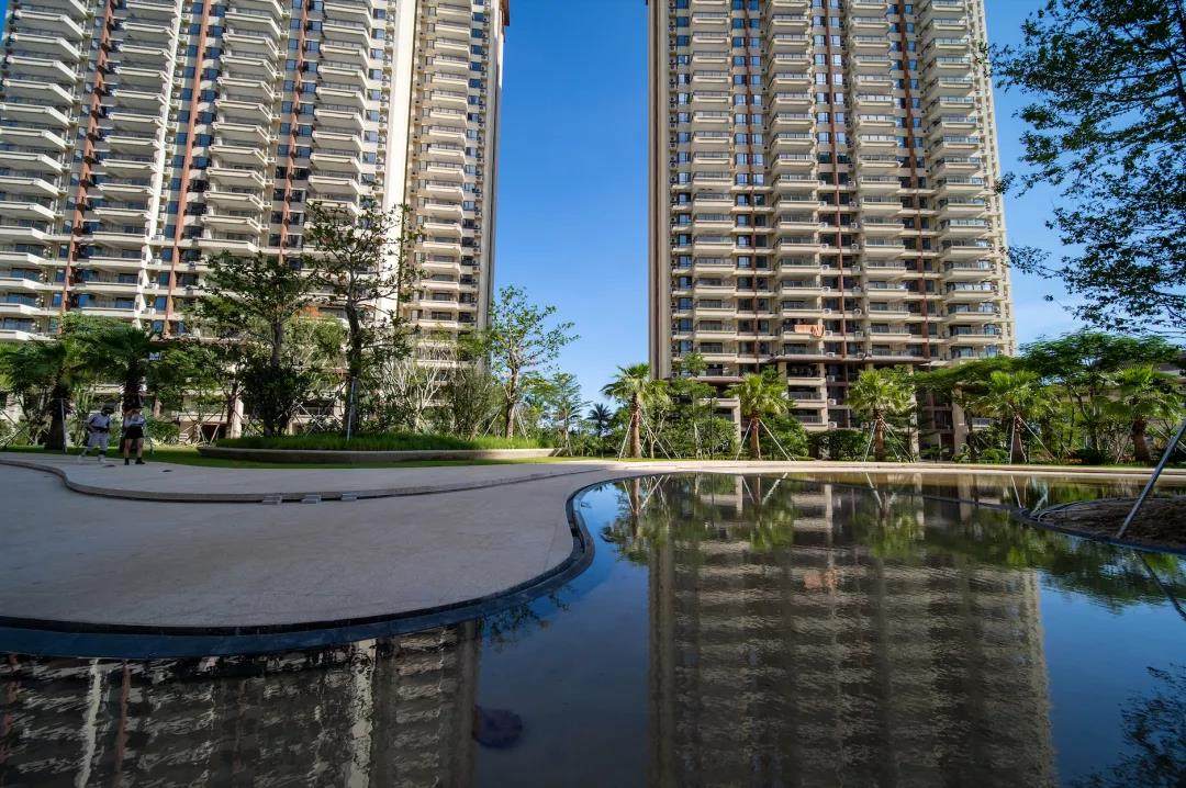 实景图