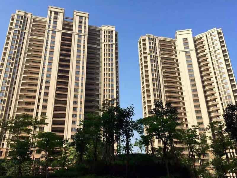 实景图