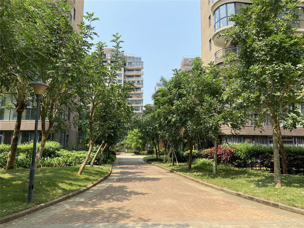 实景图