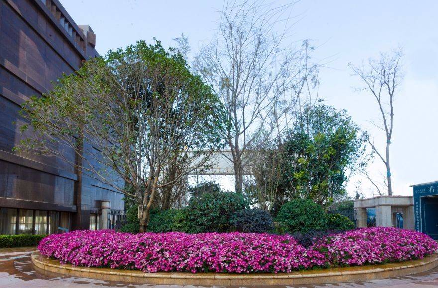 云南大理海东城银凰庄实景图