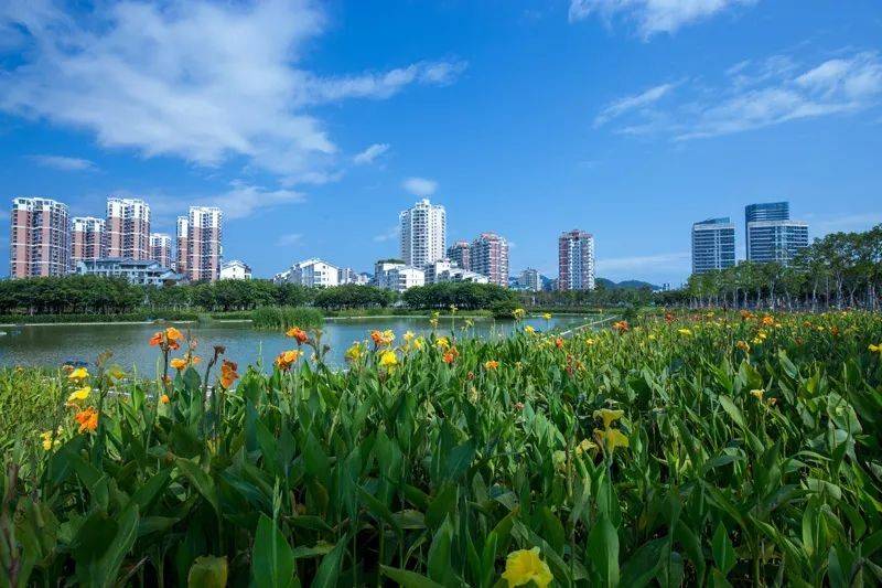 公园88号实景图