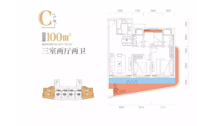 中海神州半岛100平户型图
