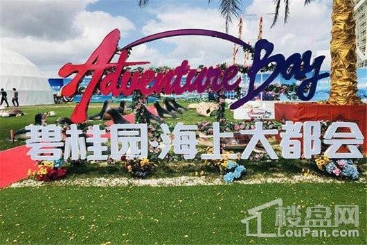 2023年三亚海景房值得购买吗？走进三亚优质海景房~            </h1>(图1)