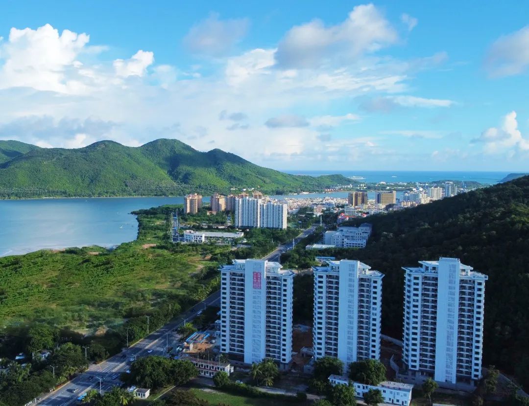 实景图