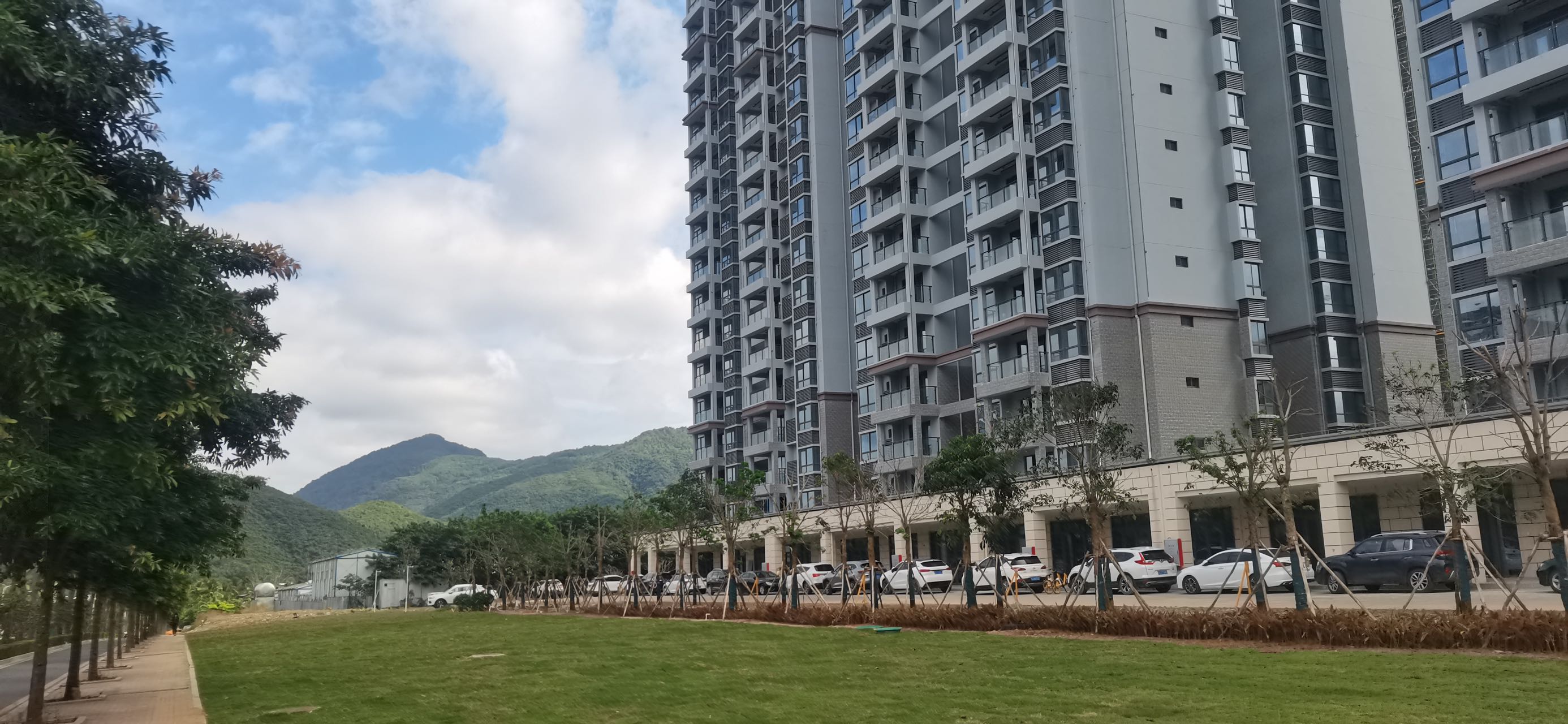 实景图