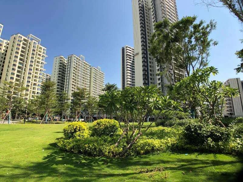 保利崖州湾实景图