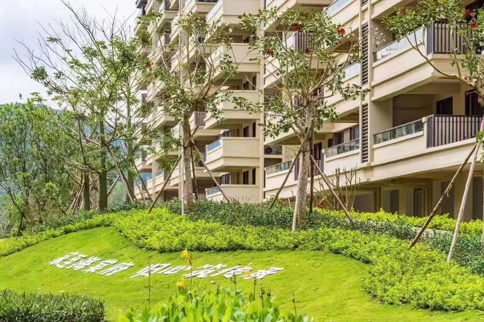 和泓海棠府实景图