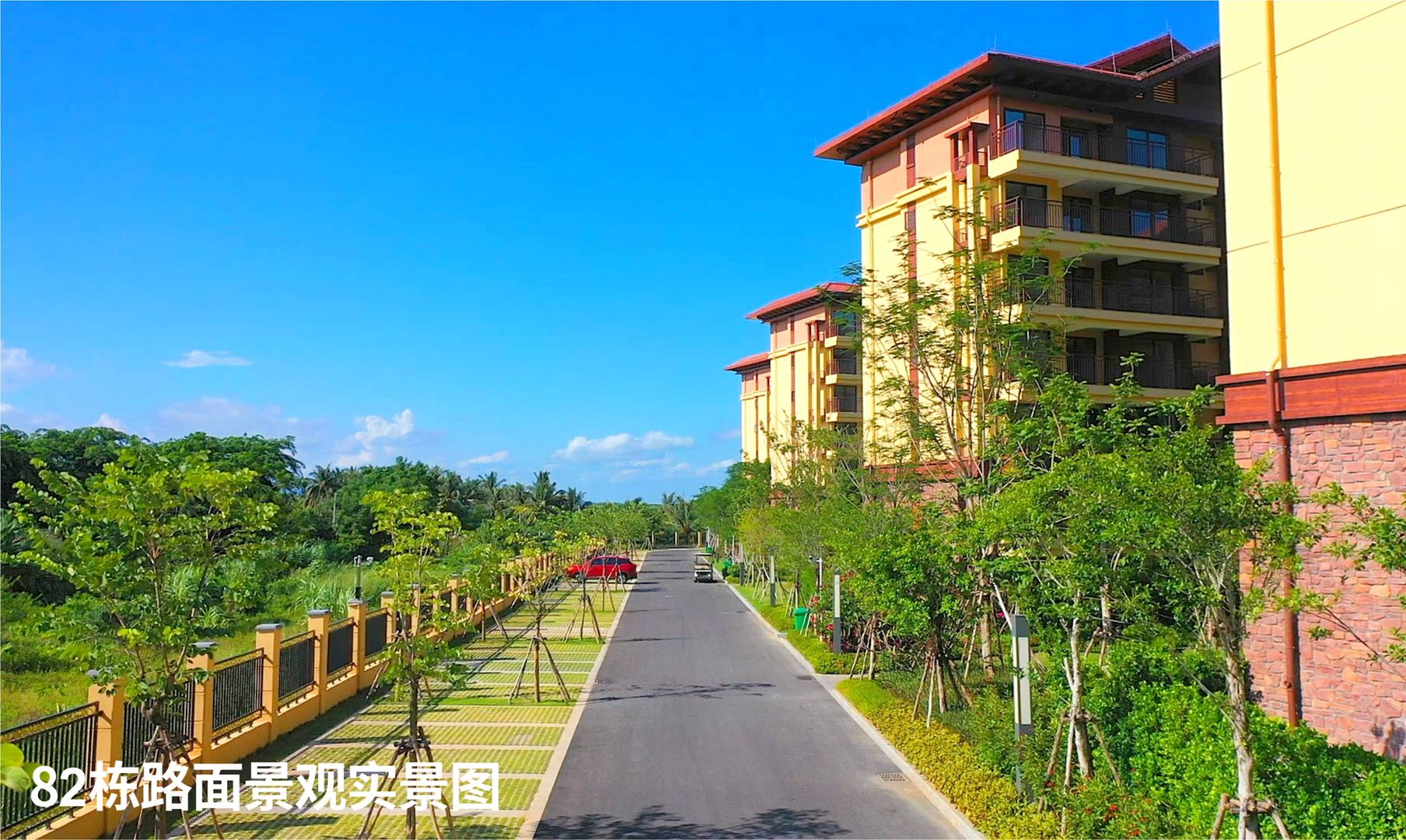 实景图