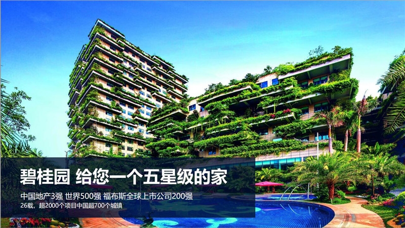 家音如期丨碧桂园海棠盛世2023年12月家书            </h1>(图5)