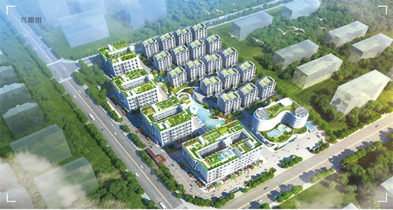 乐东尚易椰憬恬園，打造雨林般的度假体验，均价约20000元/㎡(图2)