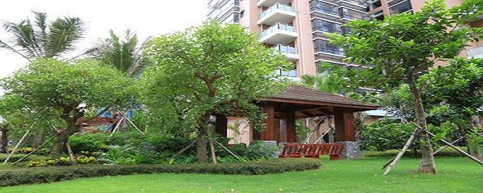 小区绿化包含铺装和道路吗(图1)