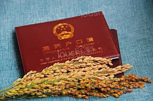 买了房子户口怎么处理(图1)