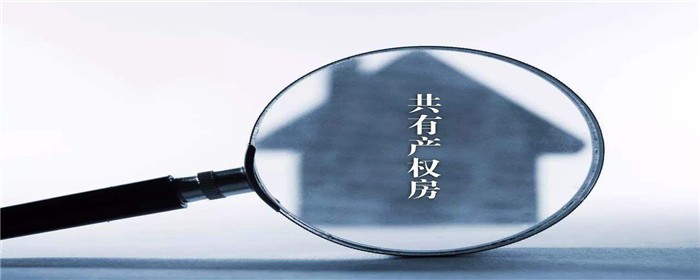 共有产权房1.jpg