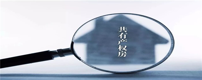 共有产权住房,共有产权房屋,共有产权房