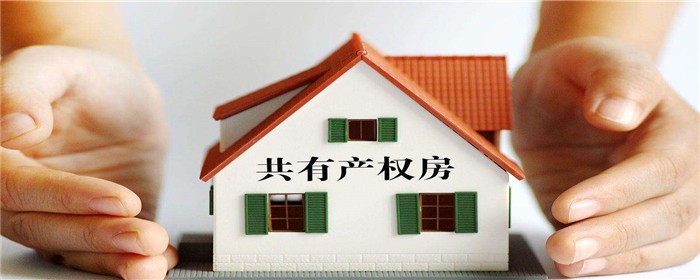 共有产权房屋,共有产权房,卖房