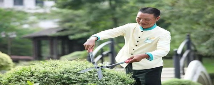绿地率是什么的重要指标(图1)